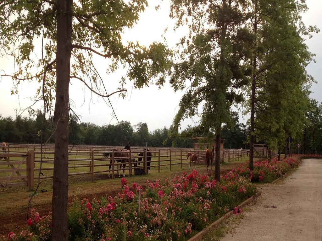 Willa Agriturismo Il Boschetto Ornago Zewnętrze zdjęcie