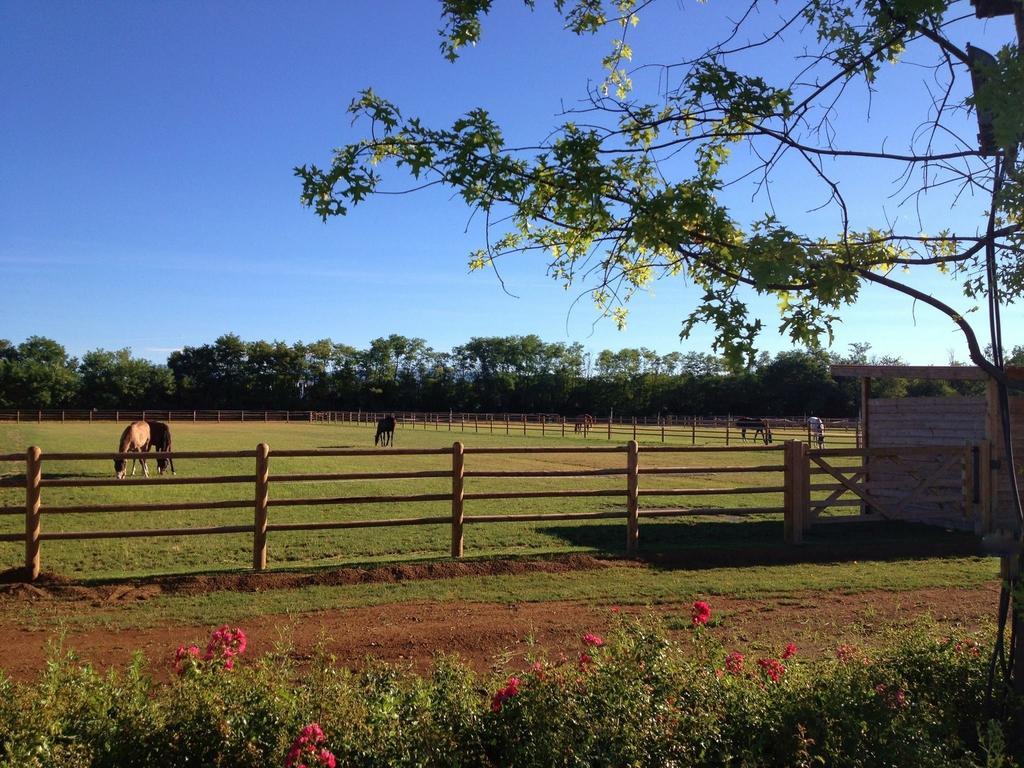 Willa Agriturismo Il Boschetto Ornago Zewnętrze zdjęcie