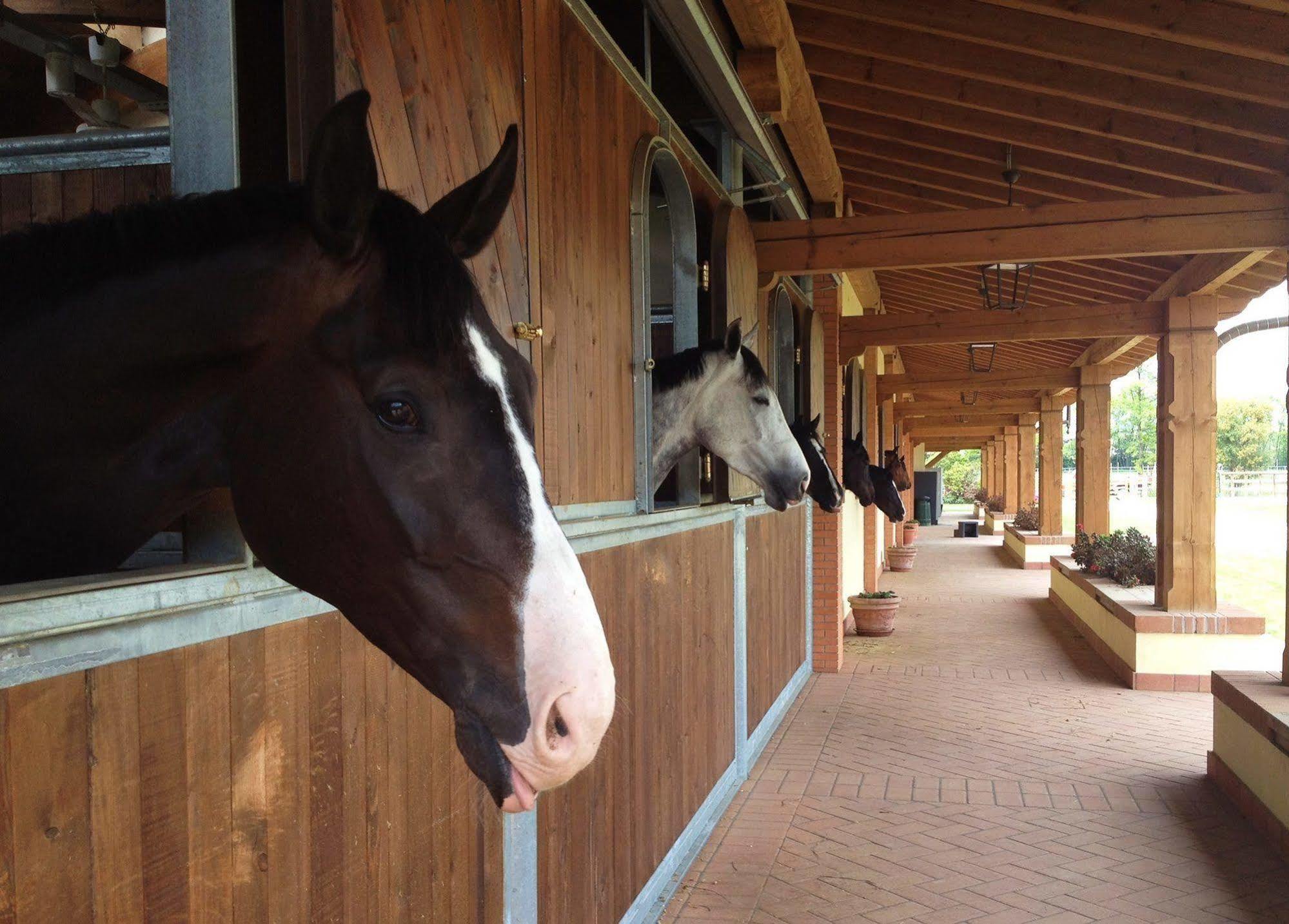 Willa Agriturismo Il Boschetto Ornago Zewnętrze zdjęcie