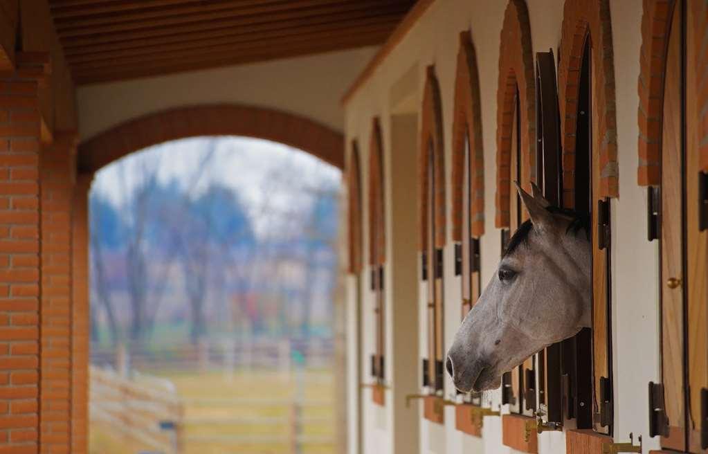 Agriturismo Il Boschetto Ornago Udogodnienia zdjęcie